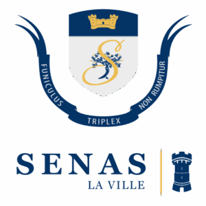 Logo-senas-2015-B2QR