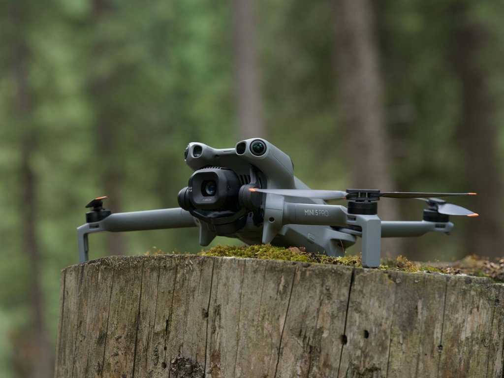 DJI Mini 5 Pro posé sur une souche dans un environnement végétal